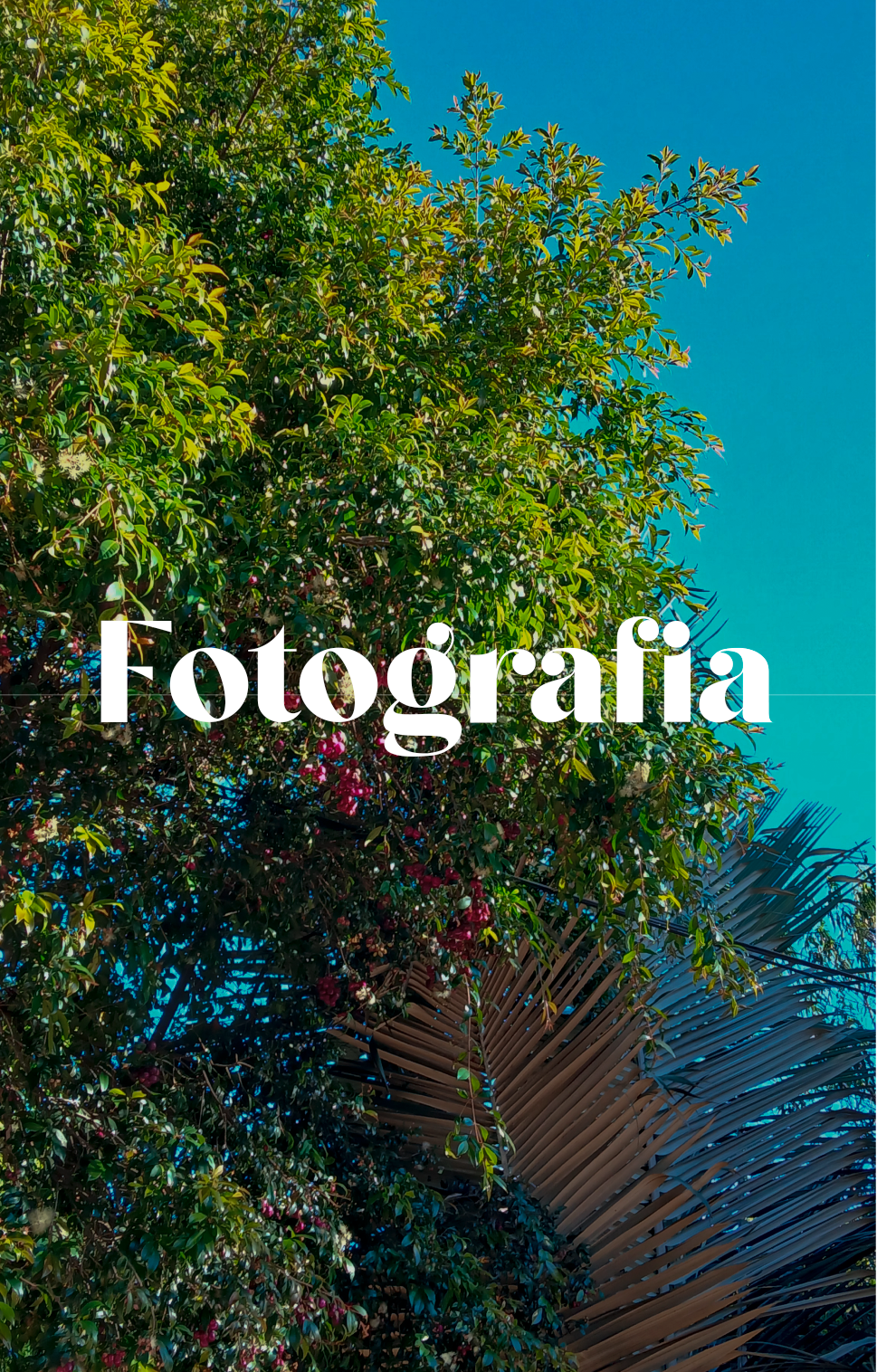 Fotografías